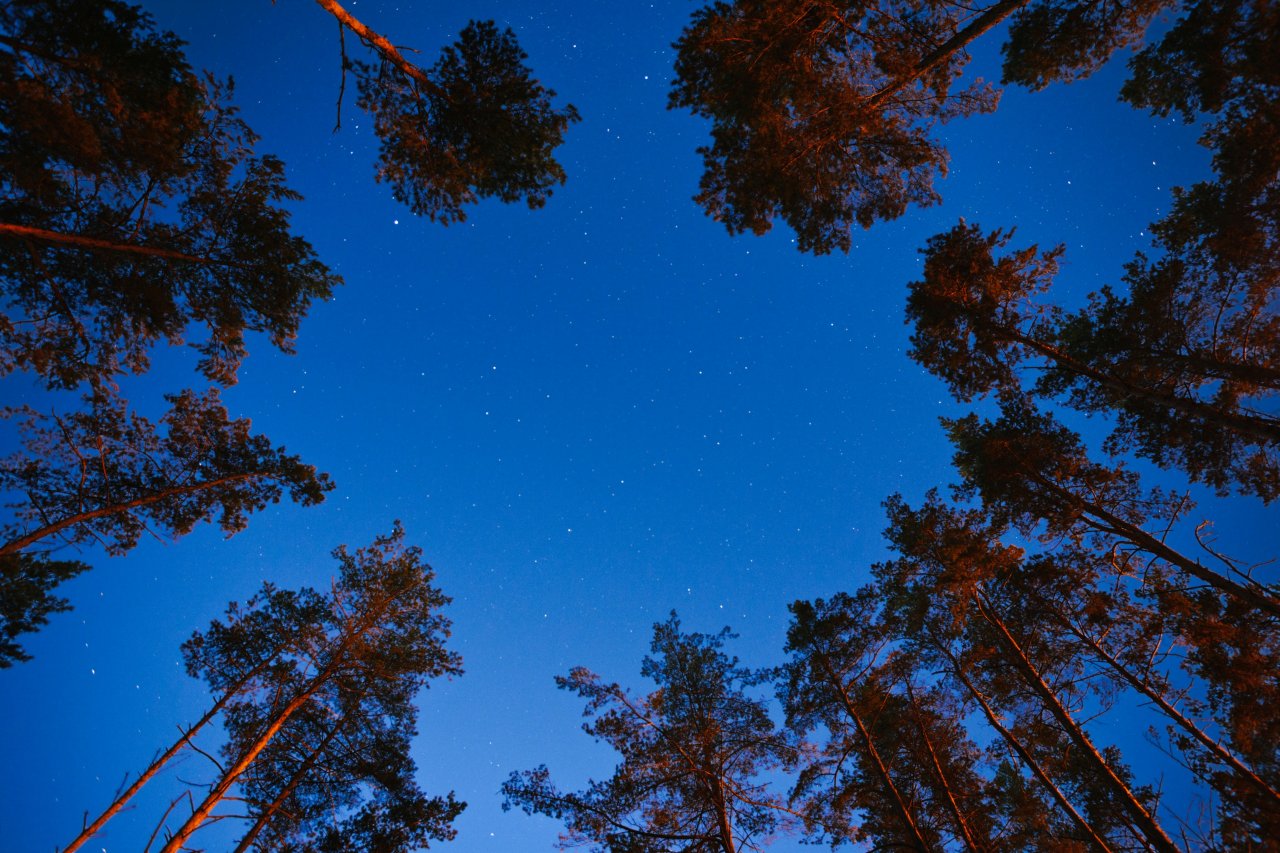 © Artem Sapegin/ Unsplash