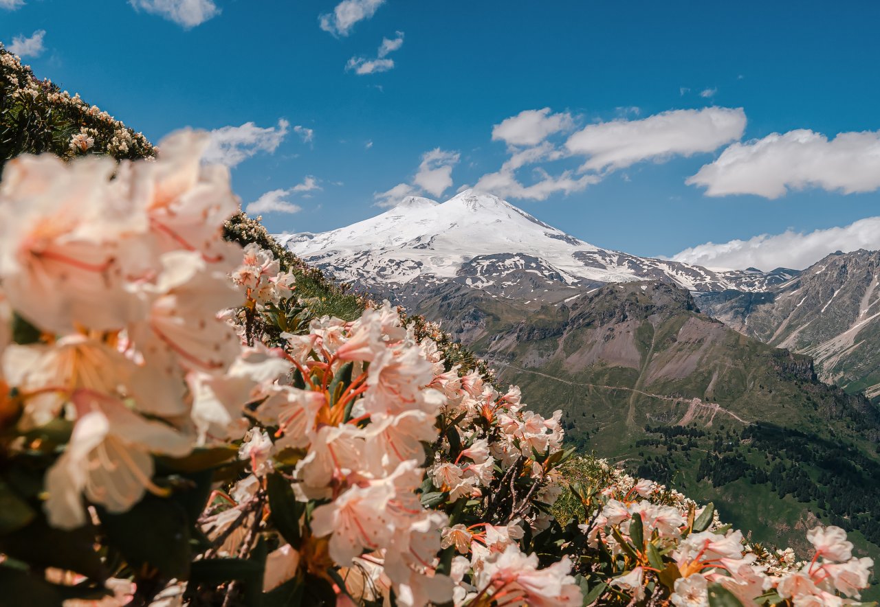 © Anastasia Mazureva/ Shutterstock