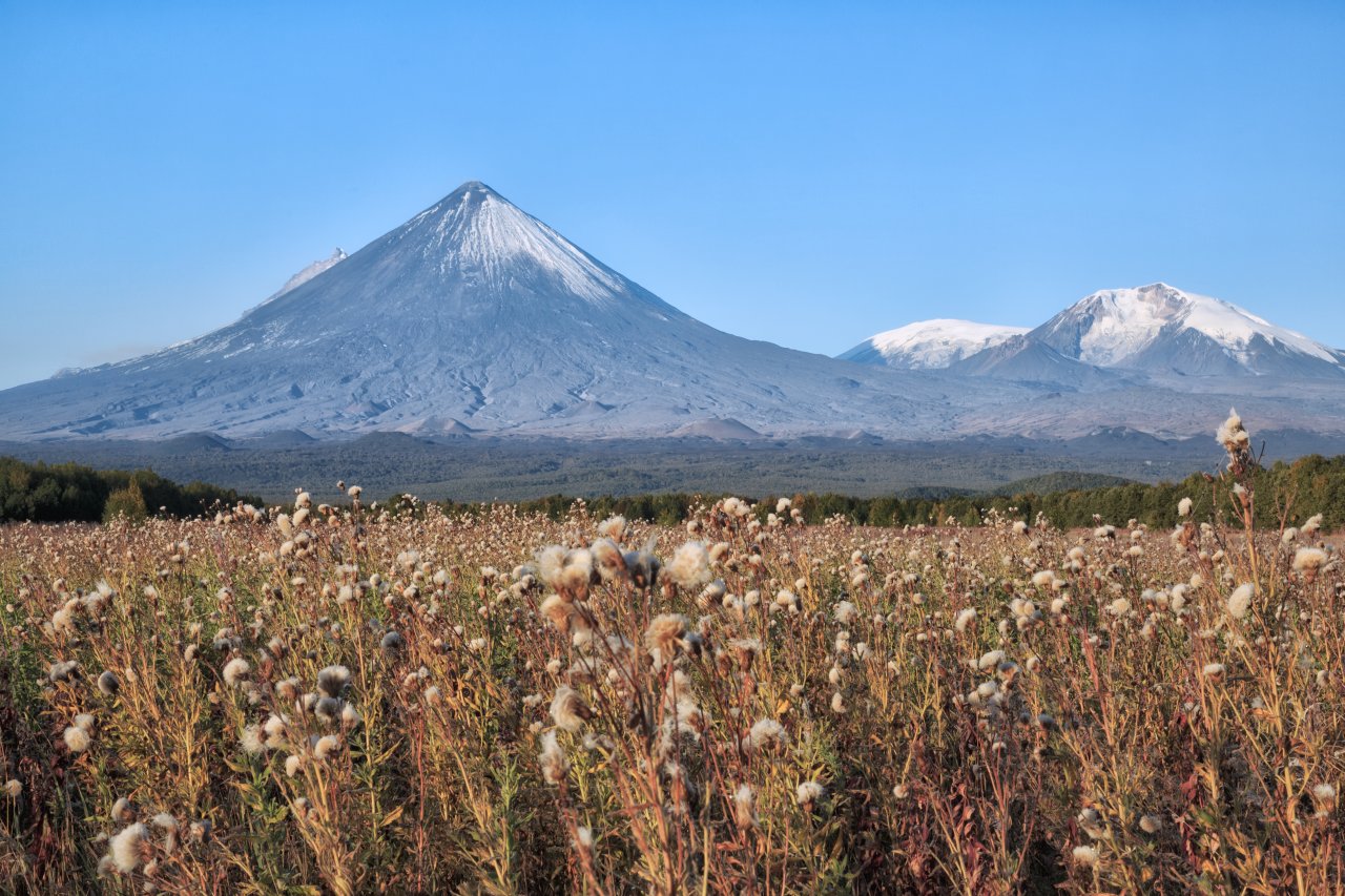 © GENNADY TEPLITSKIY/ Shutterstock