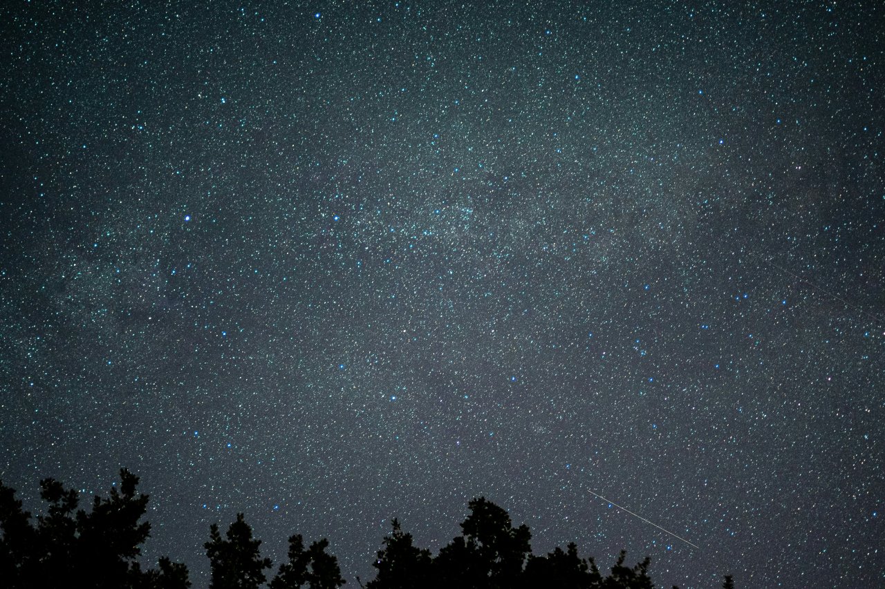 ©  Gantavya Bhatt/ unsplash
