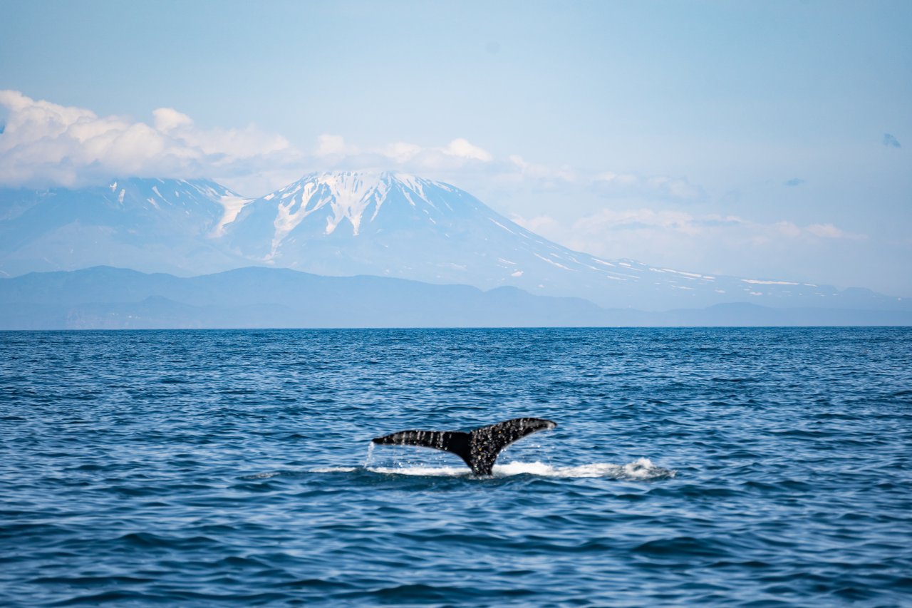 © Egoreichenkov Evgenii/Shutterstock