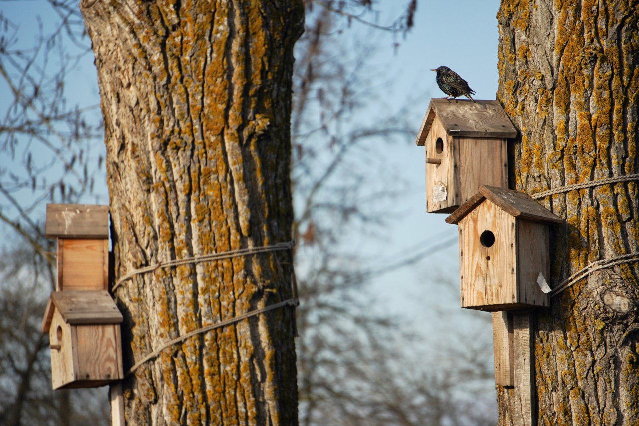 © Igor Stomakhin/Shutterstock