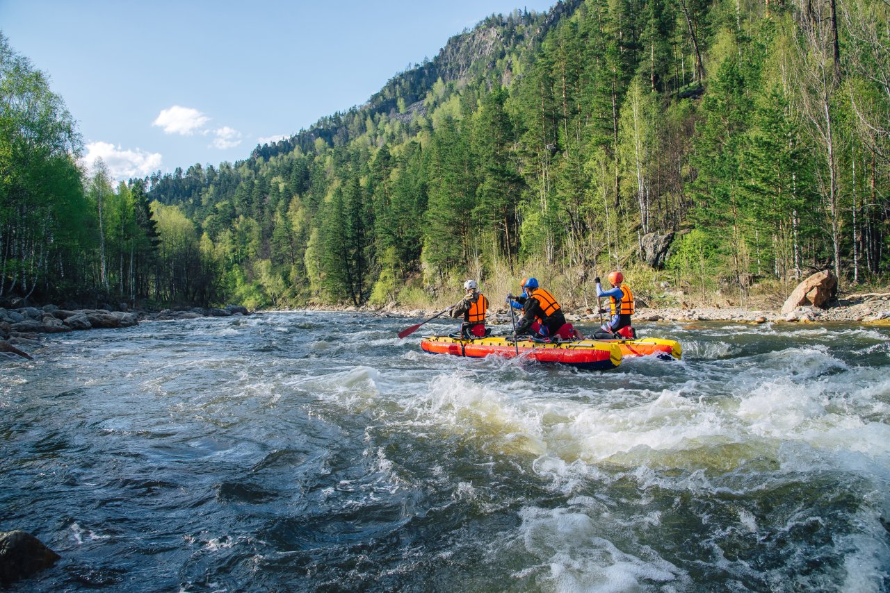 © Sergej Cash / Shutterstock