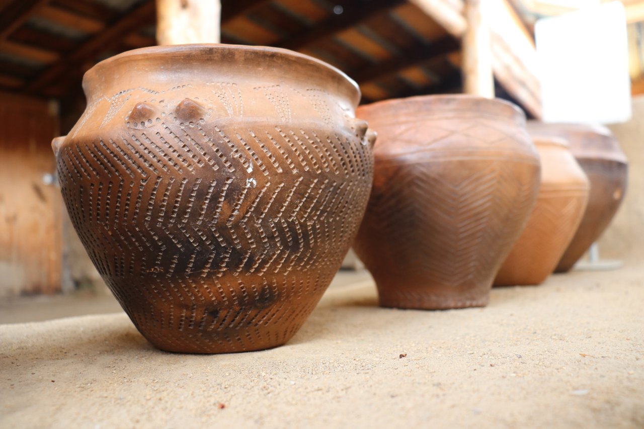 © Artem Nedoluzhko/Shutterstock