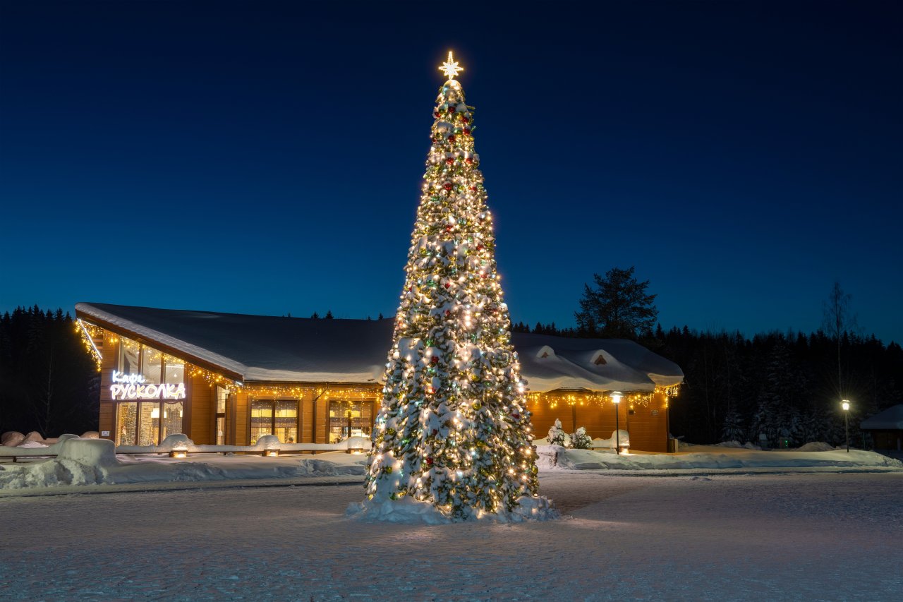 © Karasev Viktor/Shutterstock