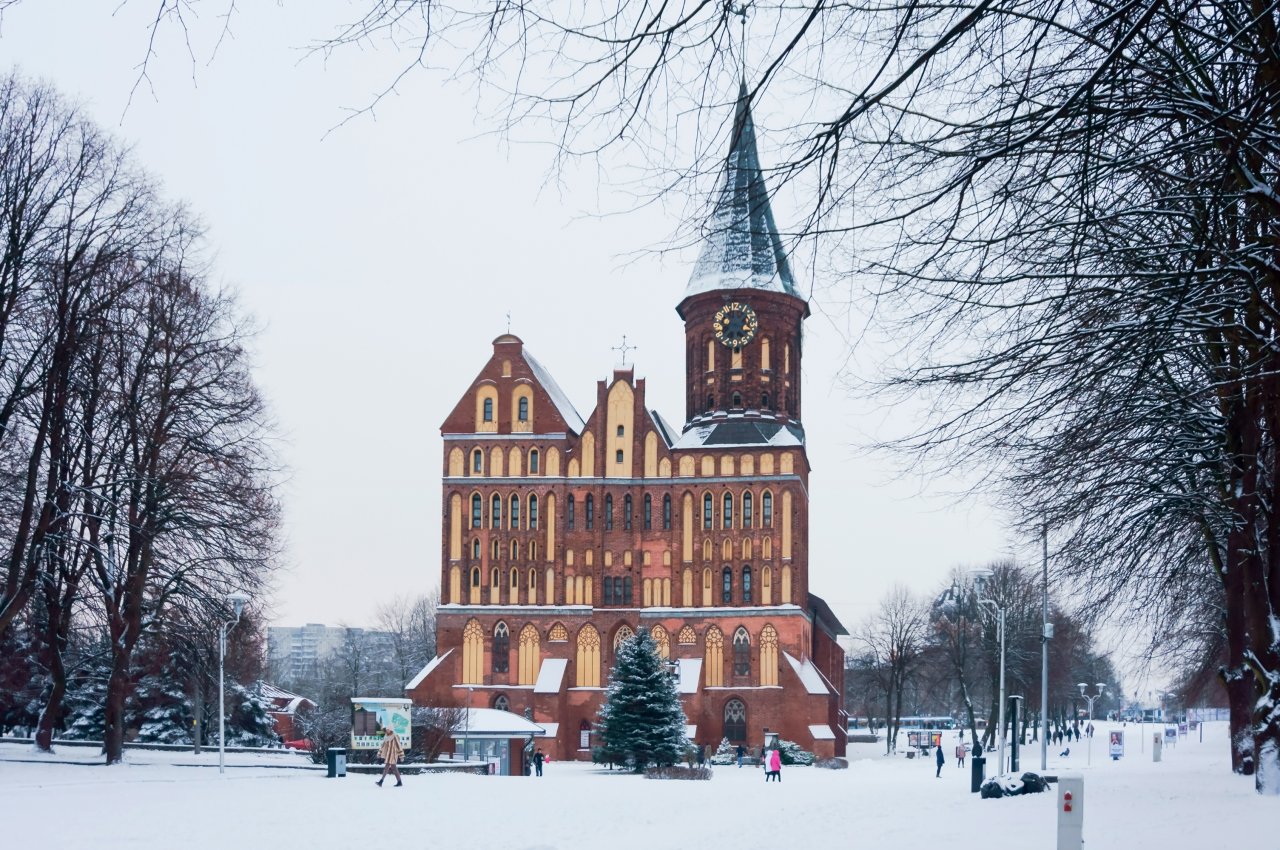 © SeagullNady/ shutterstock