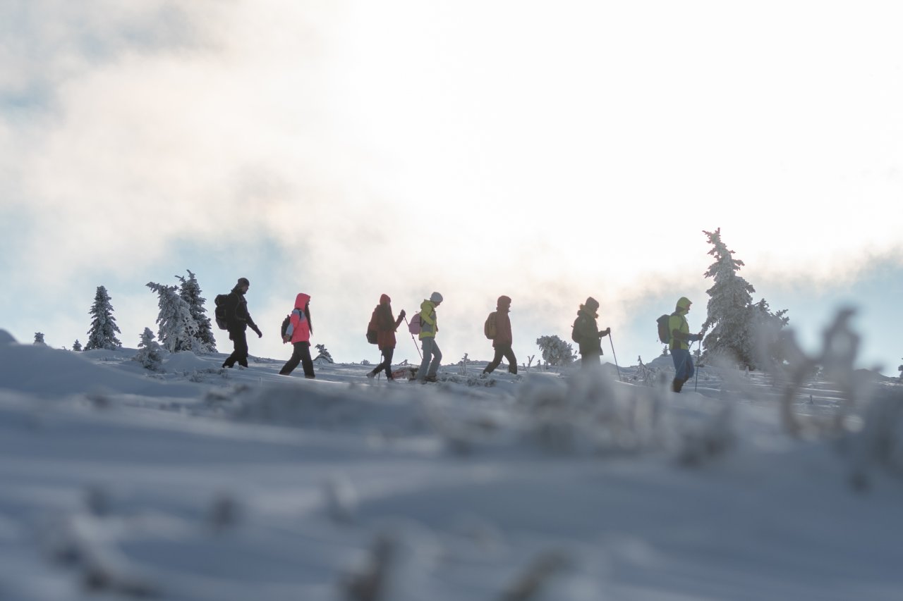 © ABphotopro/ shutterstock