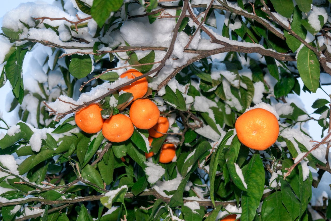 © Nick Pecker/Shutterstock