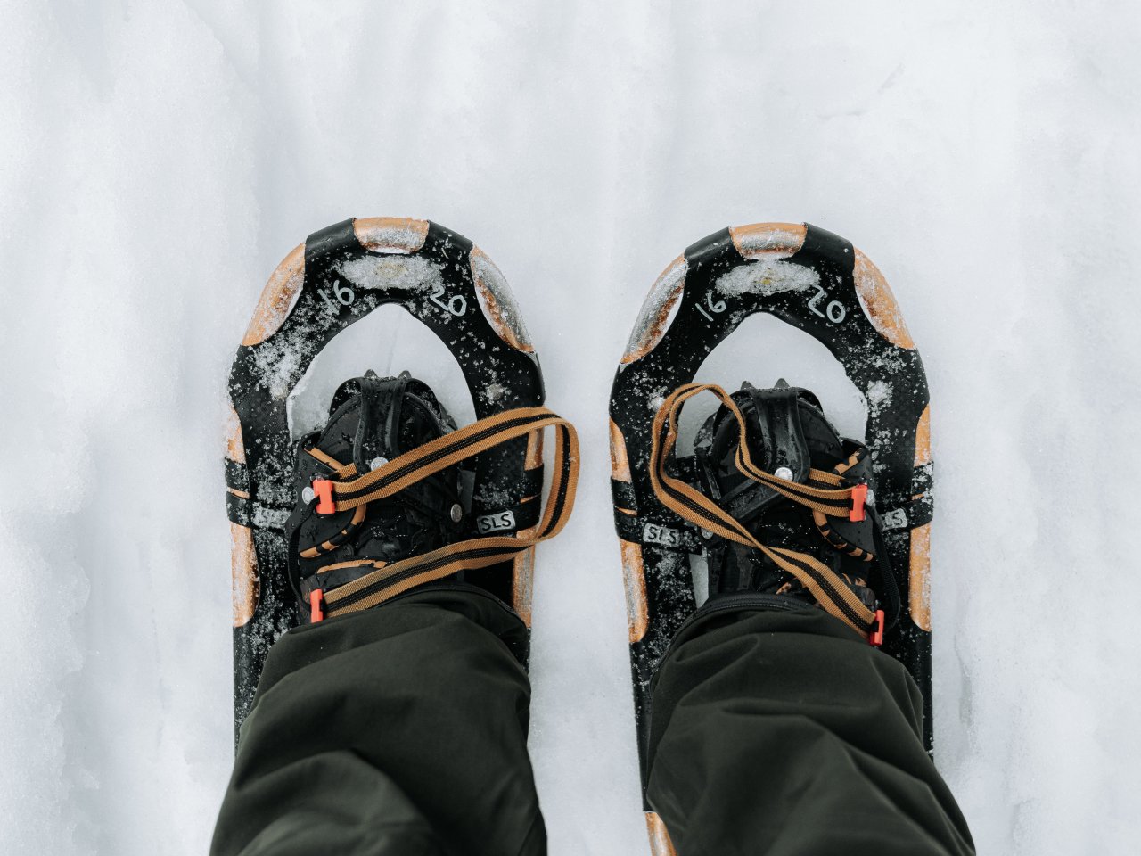 © Mason Tierney/Shutterstock