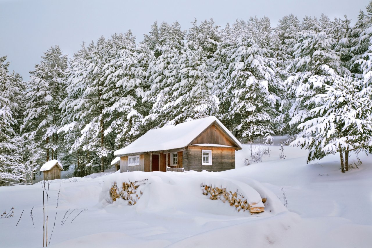 © Shevchenko Andrey/Shutterstock