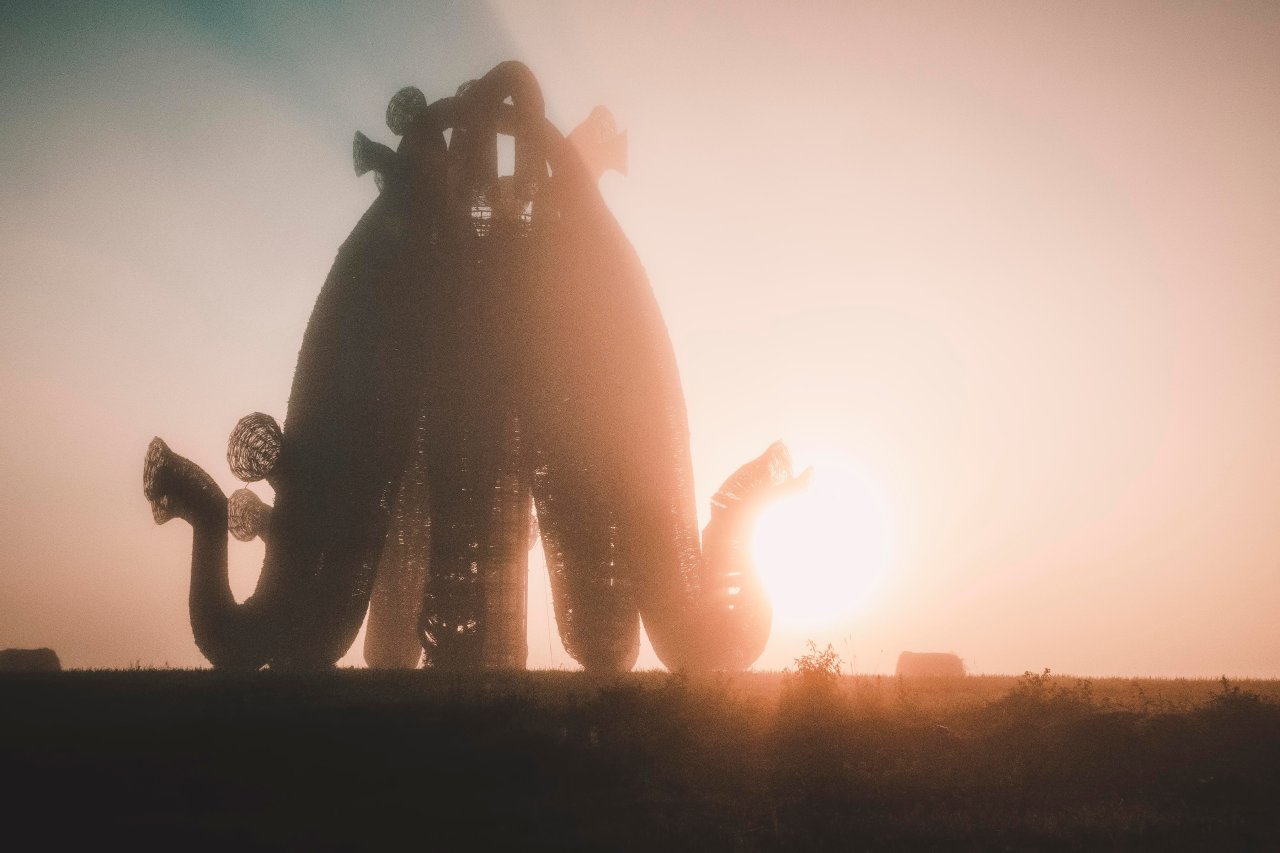 © Kadir Cobek/Shutterstock