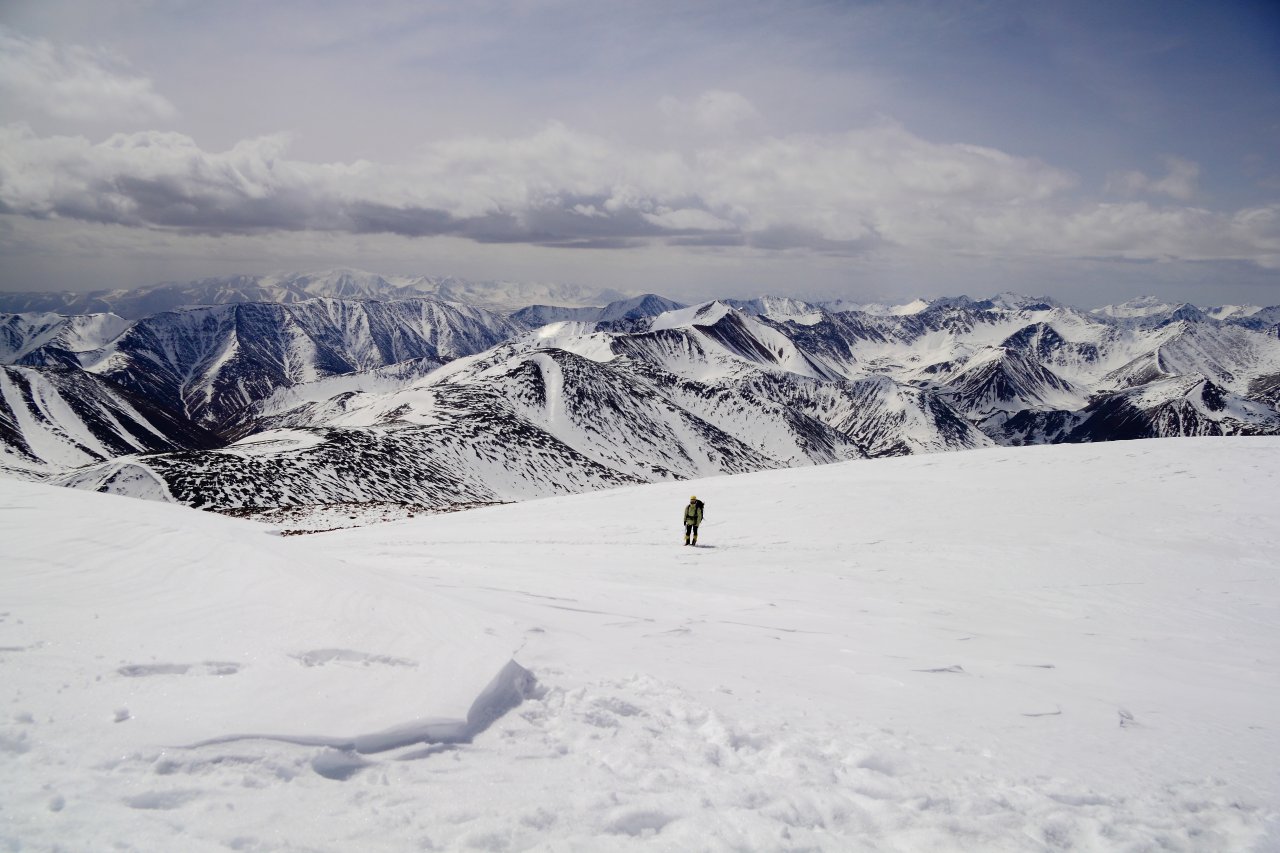 © Tinki Vinki/Shutterstock