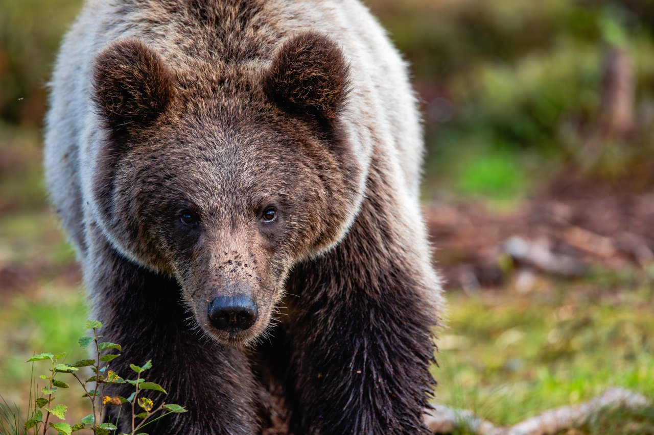 © ArtBBNV/Shutterstock