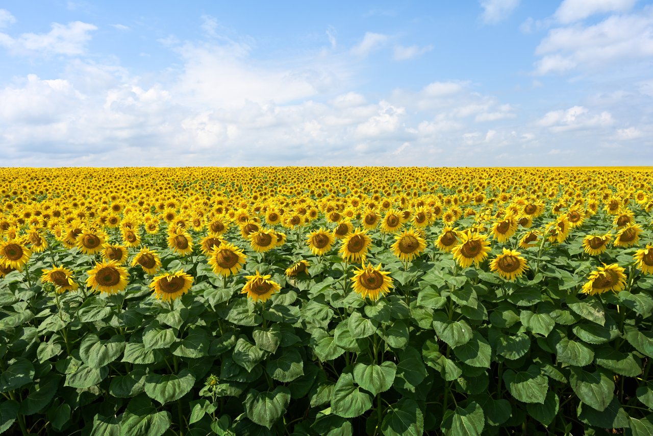 © pdeminhiker/Shutterstock